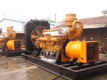 雷州发电机组的频率规格是如何确定的？